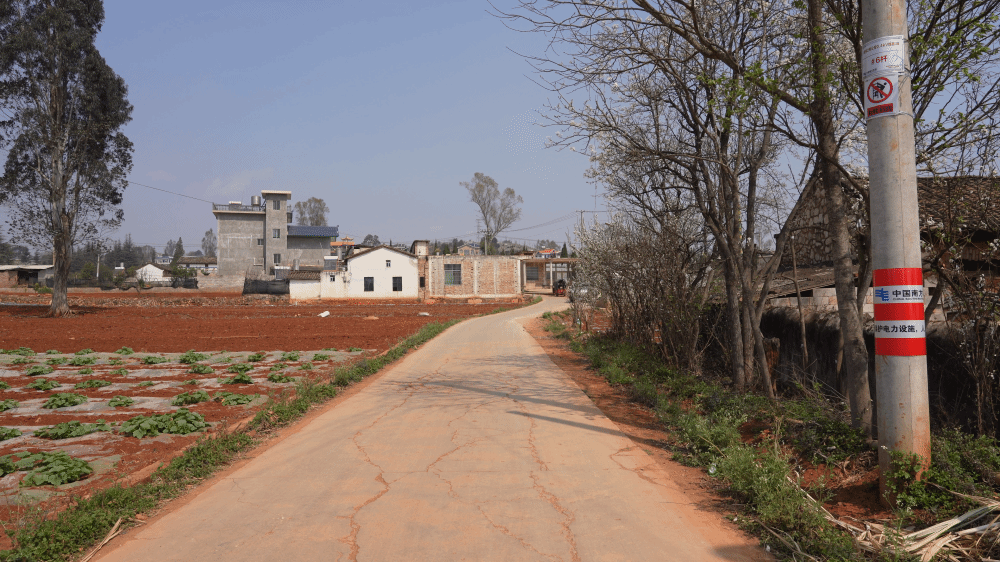 24BBE8CFA53D6289BC1D15BDD31_01D503B2_54DC7