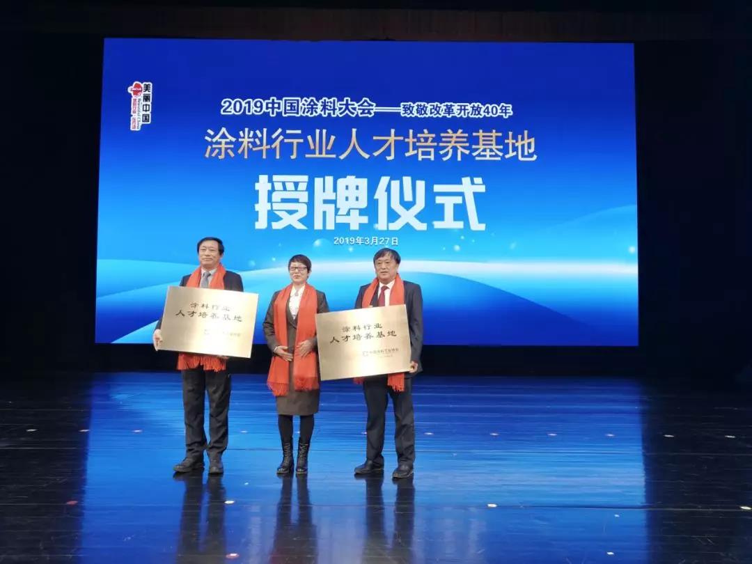 2019中国涂料大会召开，官宣2018中国涂料工业大数据(图11)